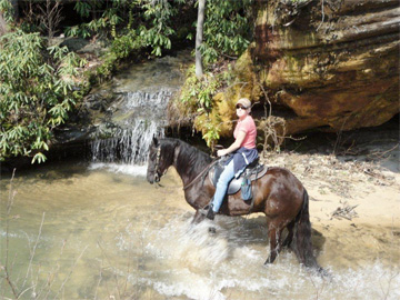 horseback